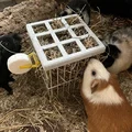 Nắp đậy cho khay thức ăn cỏ cho chuột lang - Thumbnail 3