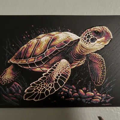 Rùa biển Hueforge với kỹ thuật in filament