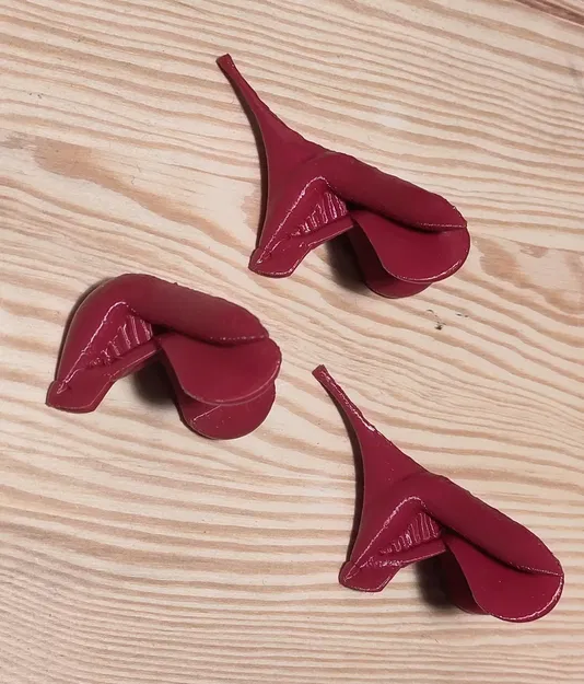 Mô hình kích thước thật của âm vật người (chính xác về gi... - Image 1