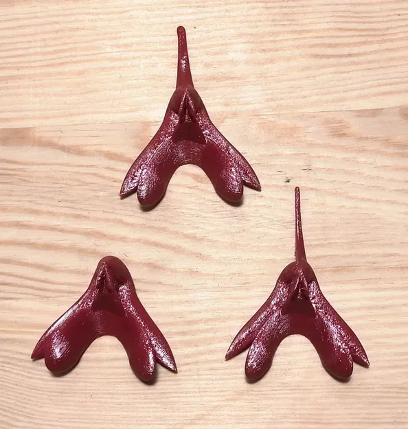 Mô hình kích thước thật của âm vật người (chính xác về gi... - Image 2