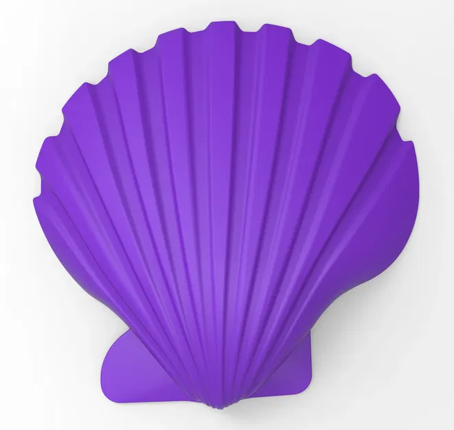 Vỏ sò nghệ thuật độc đáo cho thiết kế sáng tạo - Image 1