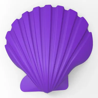 Vỏ sò nghệ thuật độc đáo cho thiết kế sáng tạo