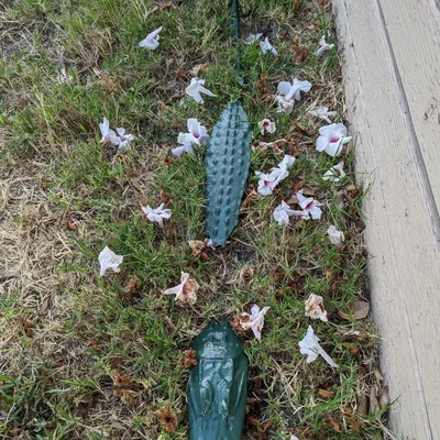 Cá sấu thảm cỏ vui nhộn để in 3D