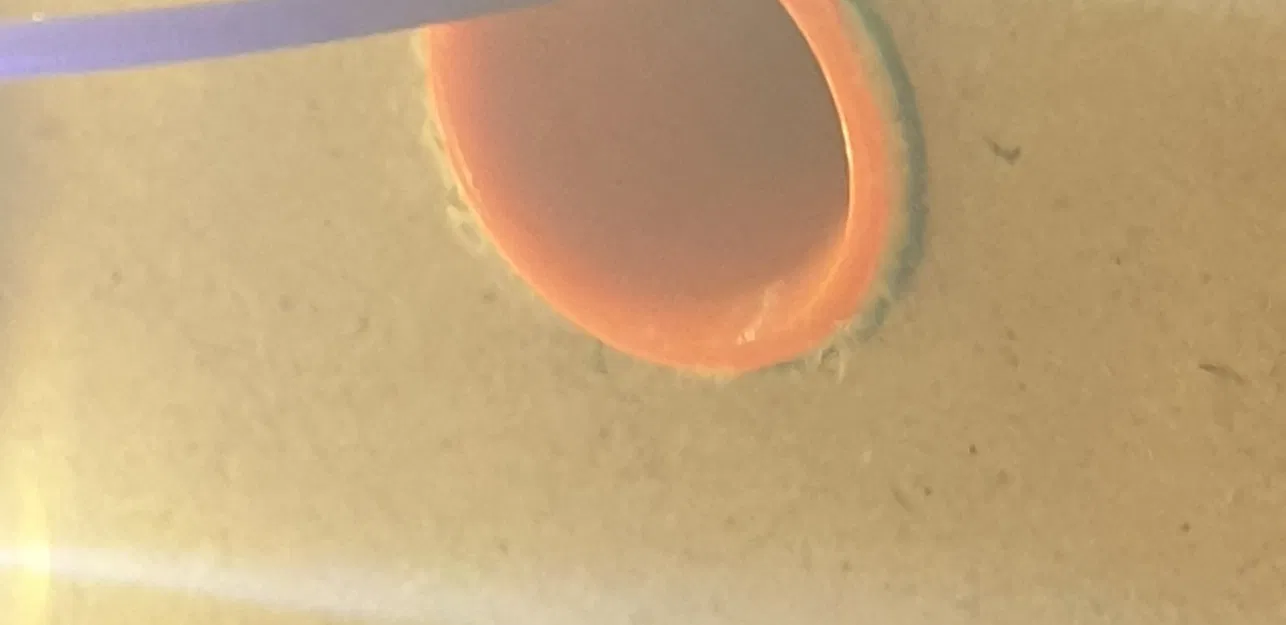 Giá đỡ cuộn filament cho bàn Ikea Lack - Image 7