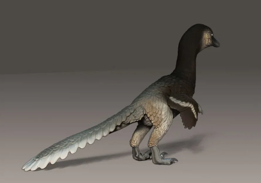 Mô hình Halzskaraptor chính xác khoa học với chi tiết tinh xảo - Image 2