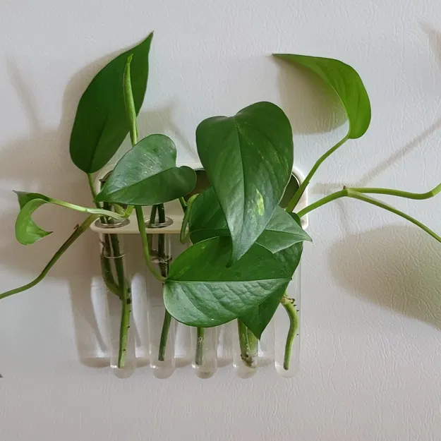 Bộ phát triển cây trồng bằng ống nghiệm từ tính - Image 3