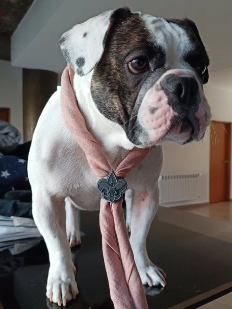 Biểu tượng woggle của Boy Scouts of America với logo 3D nhiều lớp - Image 3