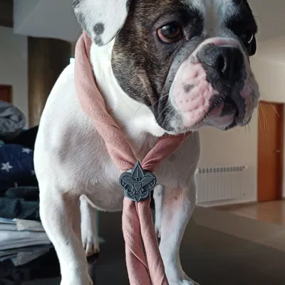 Biểu tượng woggle của Boy Scouts of America với logo 3D nhiều lớp