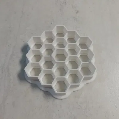 Khuôn cắt bánh quy hình gương chính JWST