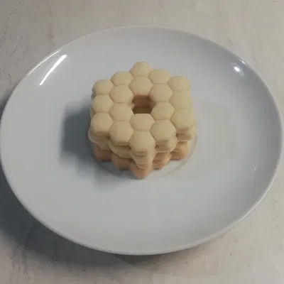 Khuôn cắt bánh quy hình gương chính JWST