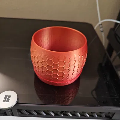 Chậu cây xương rồng thiết kế tổ ong của Jamesy1