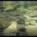 Nắp ống kính phẳng cho máy quay Sony Action Cam - Thumbnail 8