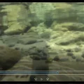 Nắp ống kính phẳng cho máy quay Sony Action Cam - Thumbnail 9