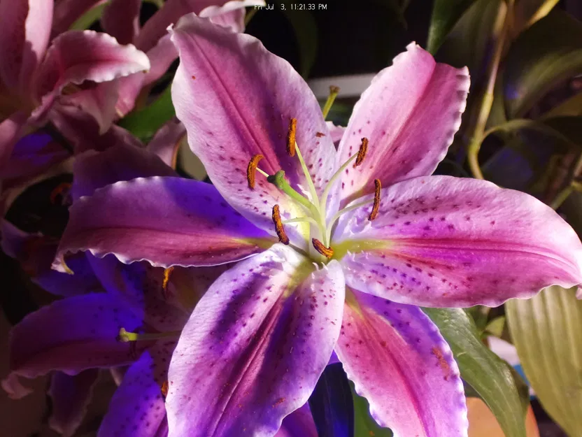 Giá đỡ camera chất lượng cao Raspberry Pi cho ống kính Canon EF - Image 6