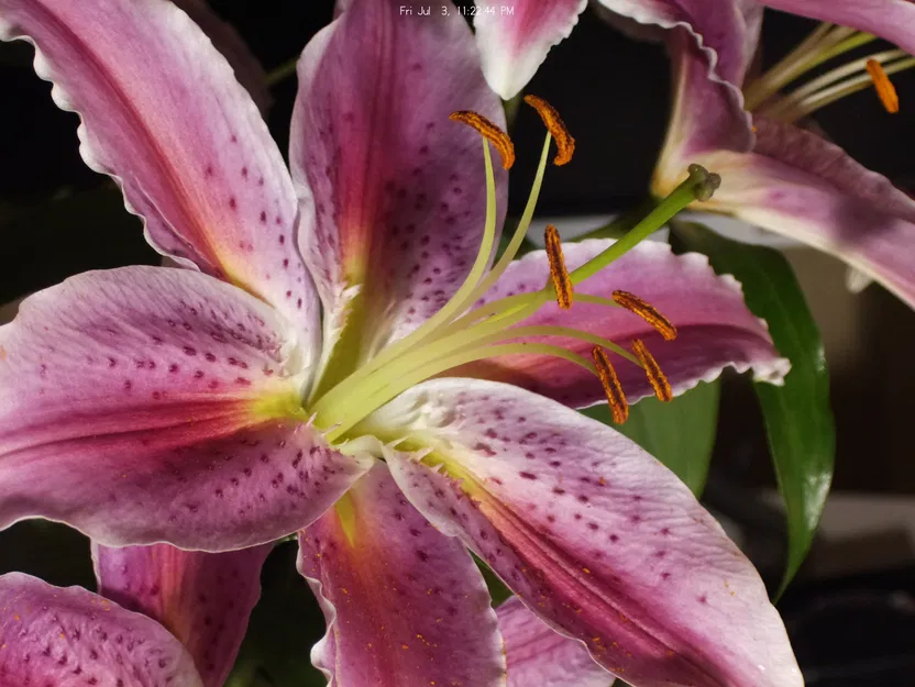 Giá đỡ camera chất lượng cao Raspberry Pi cho ống kính Canon EF - Image 7