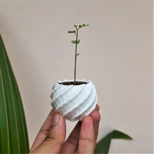 Chậu cây nhỏ hình cầu trang trí nội thất - Image 1