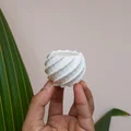 Chậu cây nhỏ hình cầu trang trí nội thất - Thumbnail 3