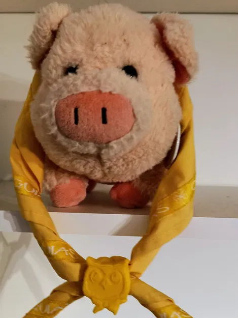 Vòng khăn cổ hình cú cho thủ lĩnh Brownie WAGGGS - Image 6