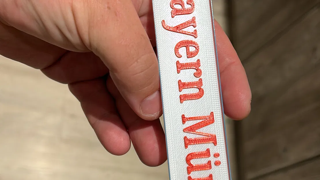 Biển số xe FC Bayern theo yêu cầu của đồng nghiệp - Image 1