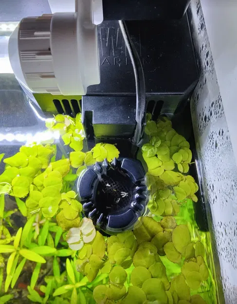 Lưới lọc Juwel Bioflow M với không gian cho skimmer - Image 3