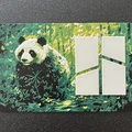 Nắp hộp công cụ Bambu Panda với kỹ thuật sơn filament - Thumbnail 2