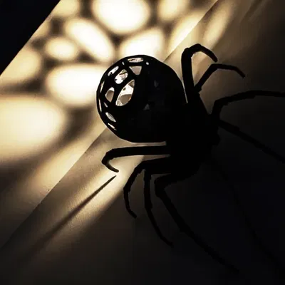 Đèn bàn và đèn tường hình nhện lớn