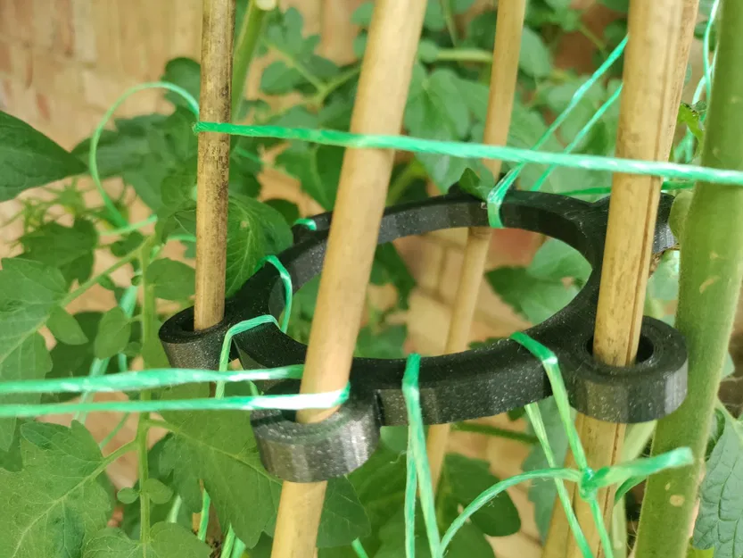 Đầu cây chống cho cây cà chua - Image 1