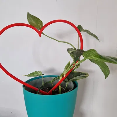 Giá đỡ cây trồng hình trái tim in 3D