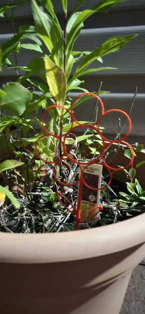 Giá đỡ cây leo hình hoa đơn giản và hiệu quả - Image 2