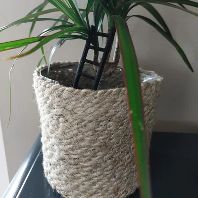 Giá đỡ cây cảnh kiểu thang trang trí cho ngôi nhà