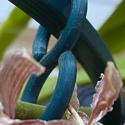 Giá đỡ hoa lan hoặc hoya với kẹp hỗ trợ