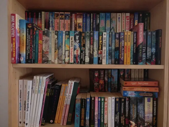 Kệ sách nửa Ikea Billy cho không gian lưu trữ tối ưu - Image 3