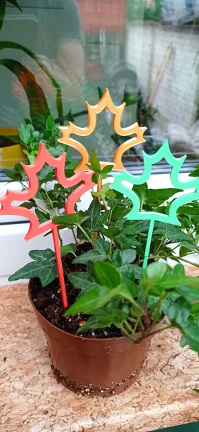 Chậu hoa lá phong trang trí đẹp mắt - Image 1