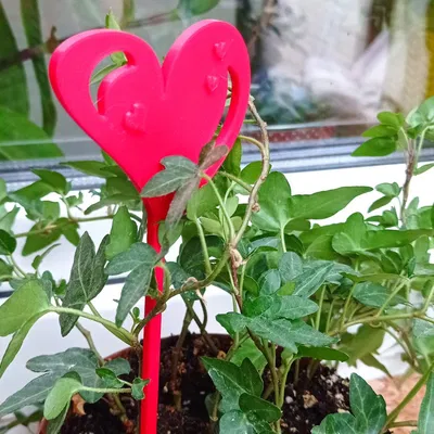 Ghim hình trái tim trang trí cho chậu hoa