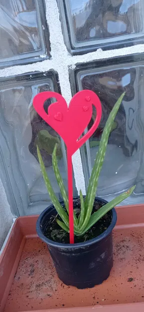 Ghim hình trái tim trang trí cho chậu hoa - Image 3