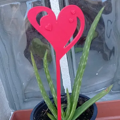 Ghim hình trái tim trang trí cho chậu hoa