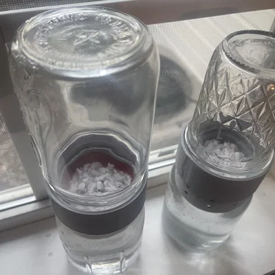 Kết nối hai lọ mason để bảo vệ cây trồng khỏi mèo