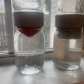 Kết nối hai lọ mason để bảo vệ cây trồng khỏi mèo - Thumbnail 3