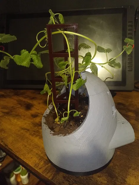 Giá đỡ cây trồng đơn giản cho chậu cây - Image 2