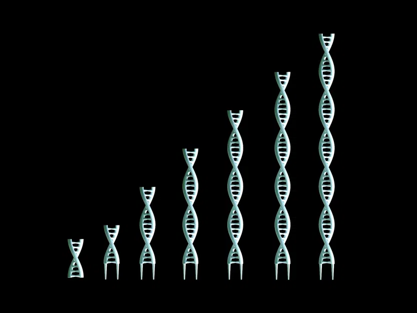 Giá đỡ cây DNA - Khối xây dựng cơ bản của sự sống - Image 1