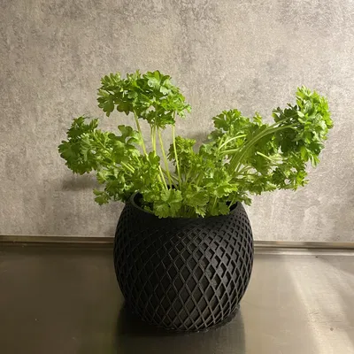 Chậu hoa tròn với họa tiết trang trí