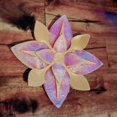 Hoa trang trí hai màu