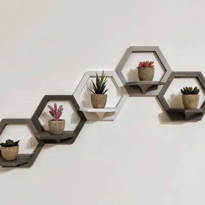 Giá đỡ hình lục giác treo tường kiểu dáng hiện đại