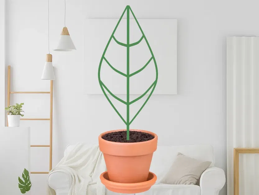 Giá đỡ lá cho cây hoa trong quá trình phát triển - Image 1