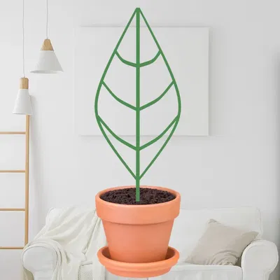 Giá đỡ lá cho cây hoa trong quá trình phát triển