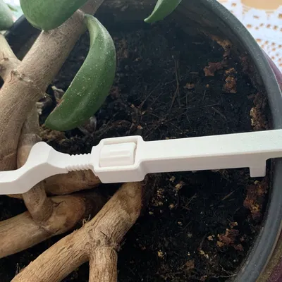 Giá đỡ cây có thể điều chỉnh cho chậu hoa