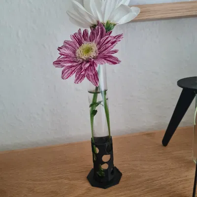 Giá đỡ đơn giản cho ống nghiệm nhỏ với lỗ quan sát