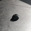 Chân đế chống trượt cho giá đỡ điều khiển Xbox tối giản - Thumbnail 1