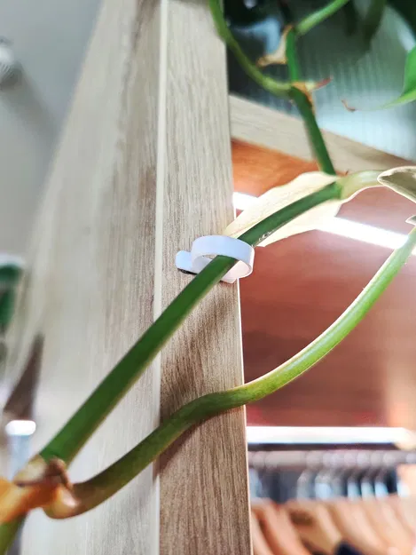 Giá treo cây treo tường cho các mầm riêng lẻ - Image 1