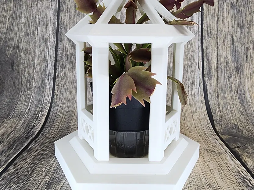 Giá đỡ cây cối Flora-Gazebo cho không gian sống thêm sinh động - Image 2